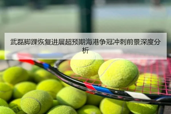 武磊脚踝恢复进展超预期海港争冠冲刺前景深度分析